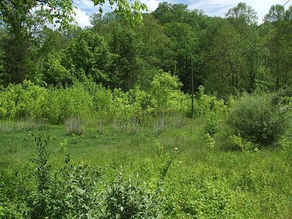 83 Acres of Recreational Land for Sale in Warfield, Kentucky