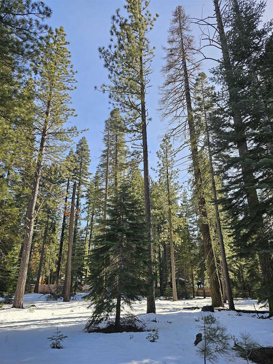 0.49 Acres of Commercial Land for Sale in Clear Creek, California