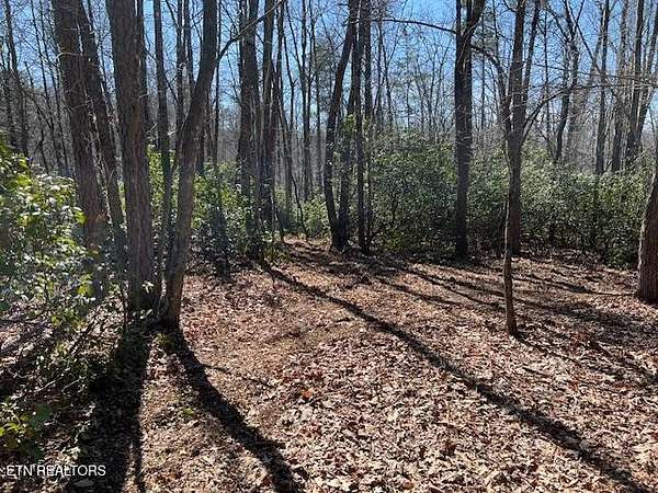 4 Acres of Residential Land for Sale in Monterey, Tennessee