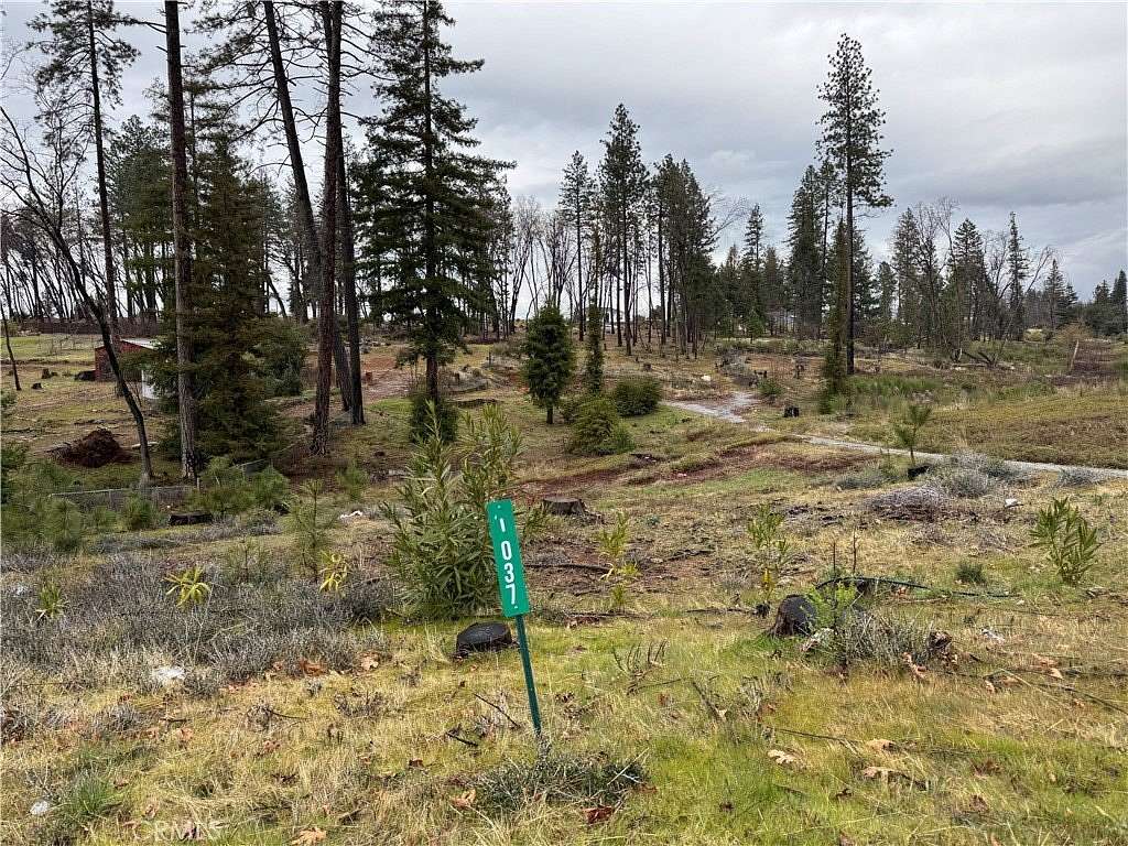 1 Acre of Residential Land for Sale in Paradise, California