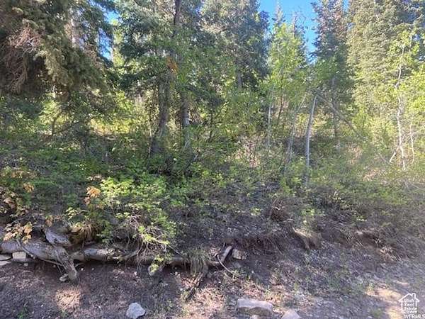 1.24 Acres of Residential Land for Sale in Fairview, Utah
