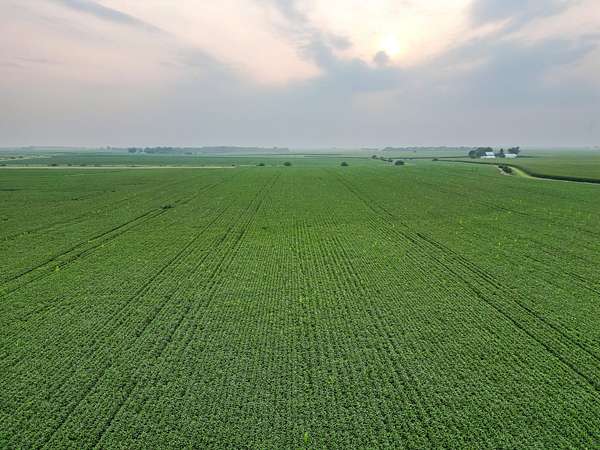 48.6 Acres of Recreational Land & Farm for Sale in Rutland, Illinois