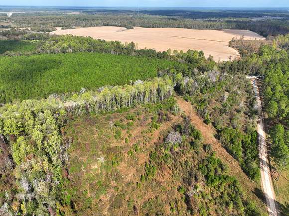 156 Acres of Recreational Land for Sale in Eastman, Georgia