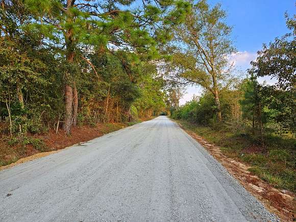 102 Acres of Recreational Land for Sale in Eastman, Georgia