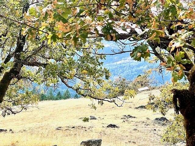 40 Acres of Recreational Land for Sale in Dinsmore, California