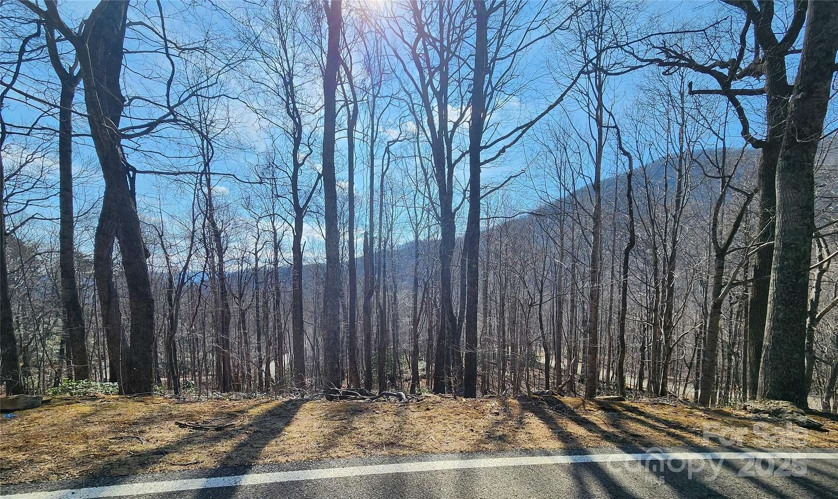 0.77 Acres of Residential Land for Sale in Black Mountain, North Carolina