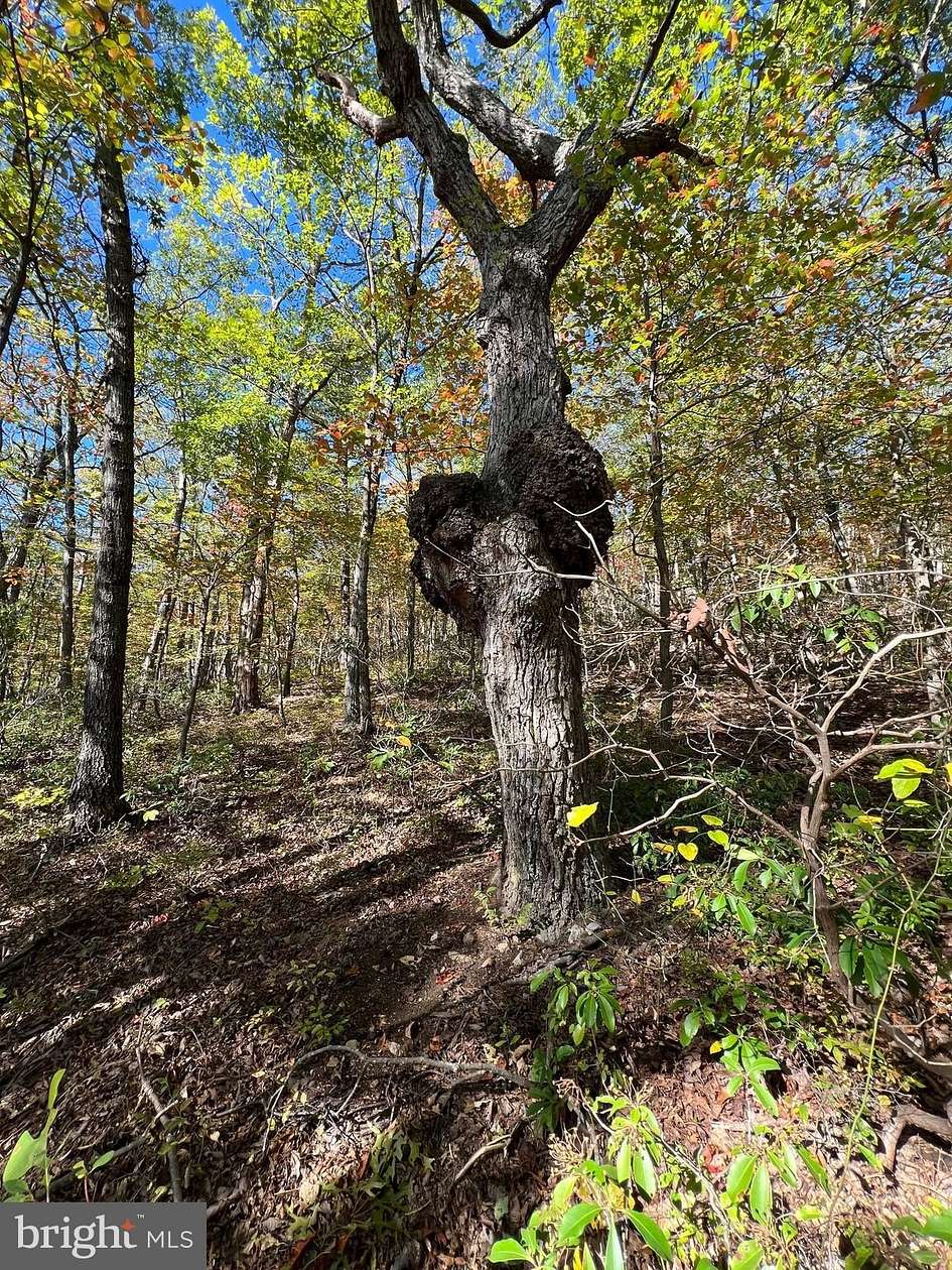 1.53 Acres of Residential Land for Sale in Winchester, Virginia