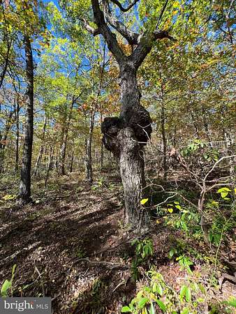 1.53 Acres of Residential Land for Sale in Winchester, Virginia