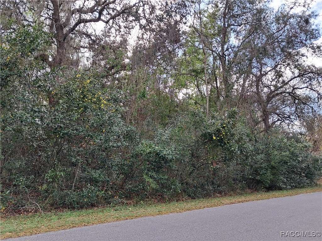 0.78 Acres of Residential Land for Sale in Floral City, Florida