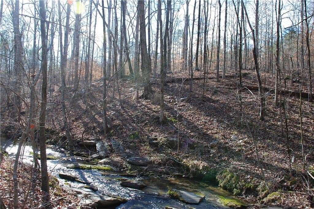 40 Acres of Land for Sale in Auburn, Alabama