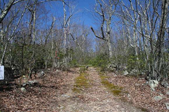 5 Acres of Residential Land for Sale in Monterey, Virginia