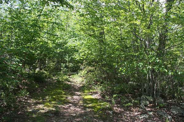 5 Acres of Residential Land for Sale in Monterey, Virginia