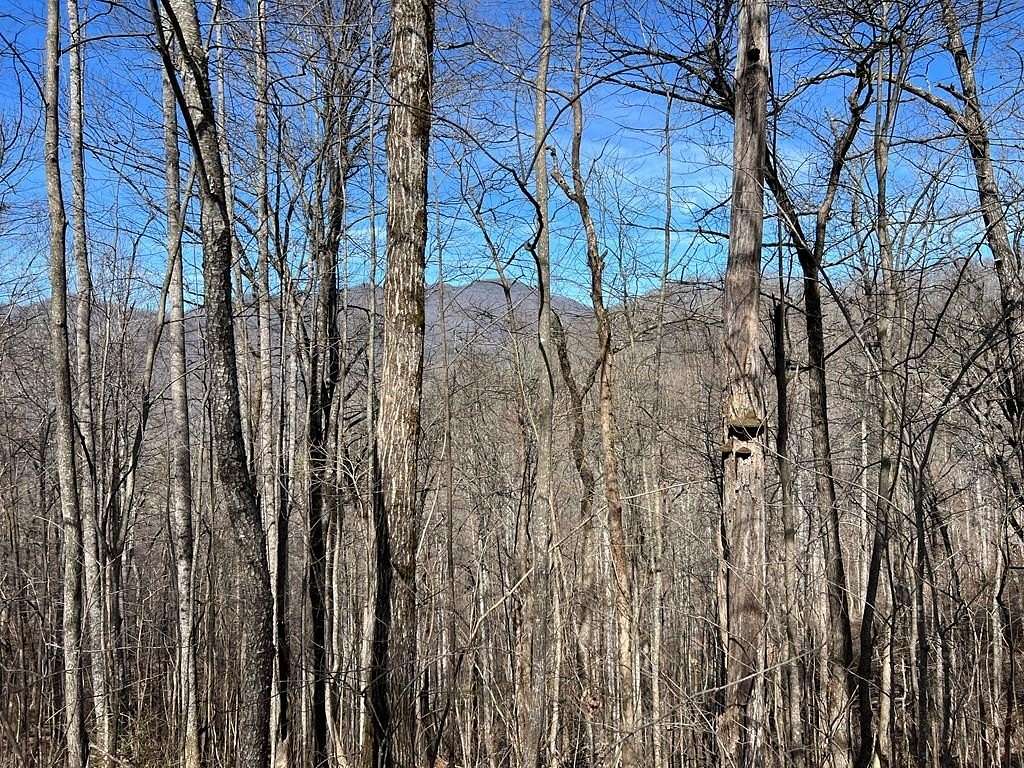 1.2 Acres of Land for Sale in Hiawassee, Georgia