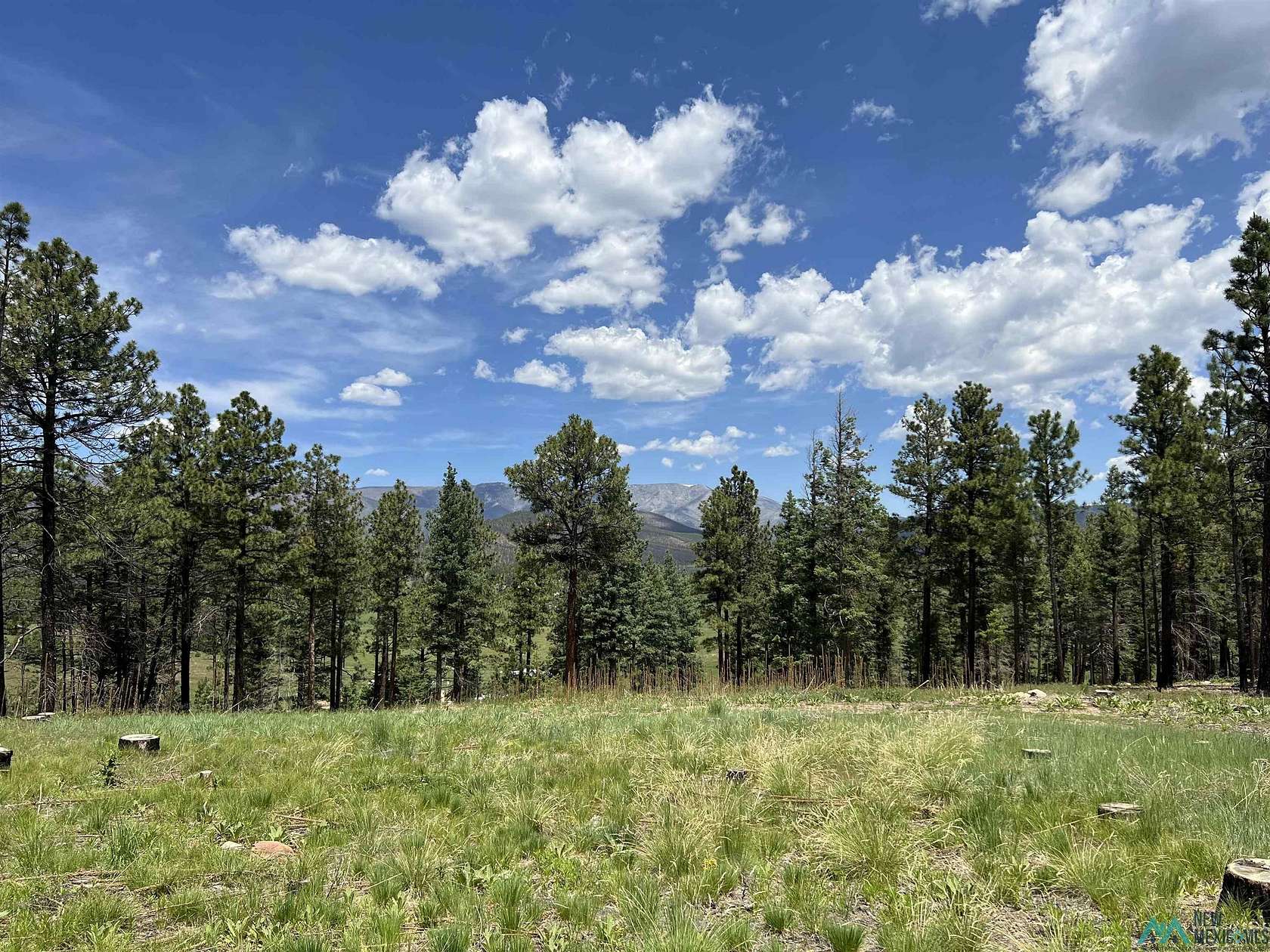 1 Acre of Residential Land for Sale in Rociada, New Mexico