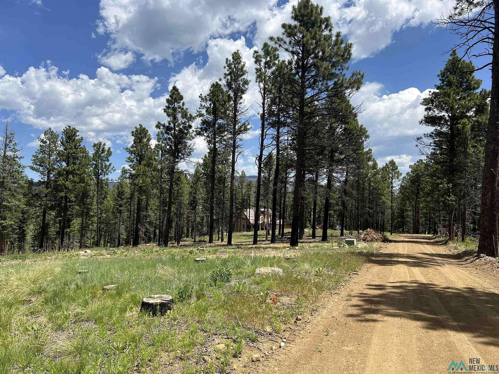 1 Acre of Residential Land for Sale in Rociada, New Mexico