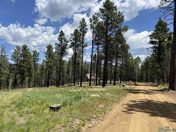 1 Acre of Residential Land for Sale in Rociada, New Mexico
