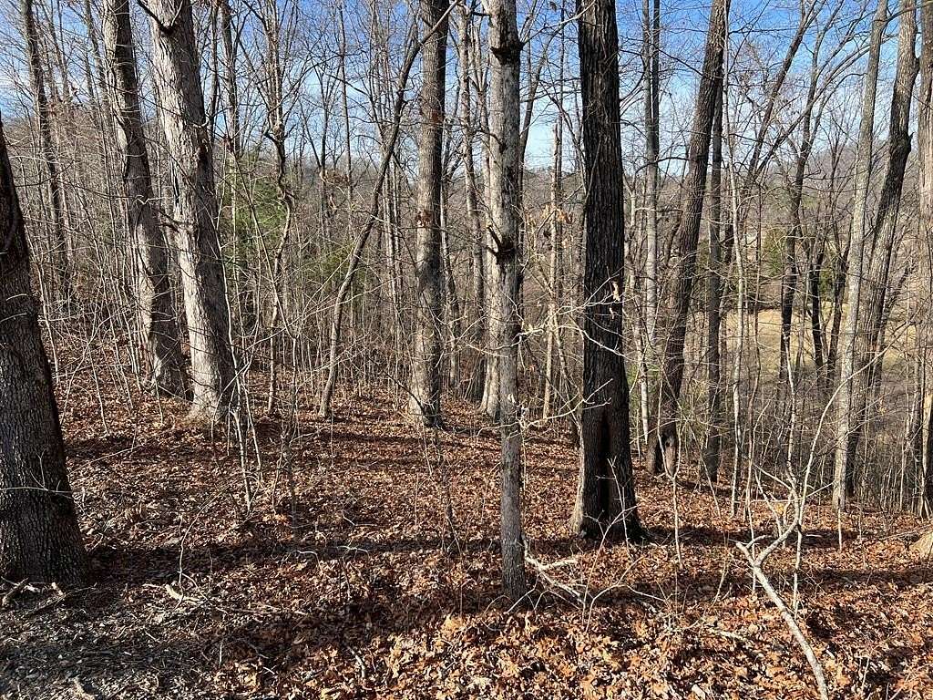 0.72 Acres of Residential Land for Sale in Hayesville, North Carolina