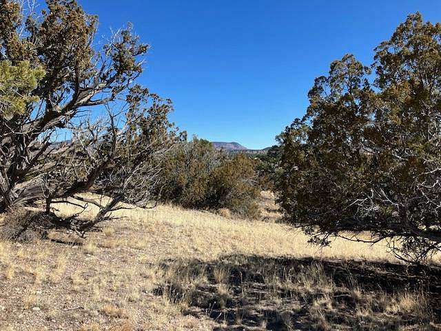 27.5 Acres of Recreational Land for Sale in Datil, New Mexico