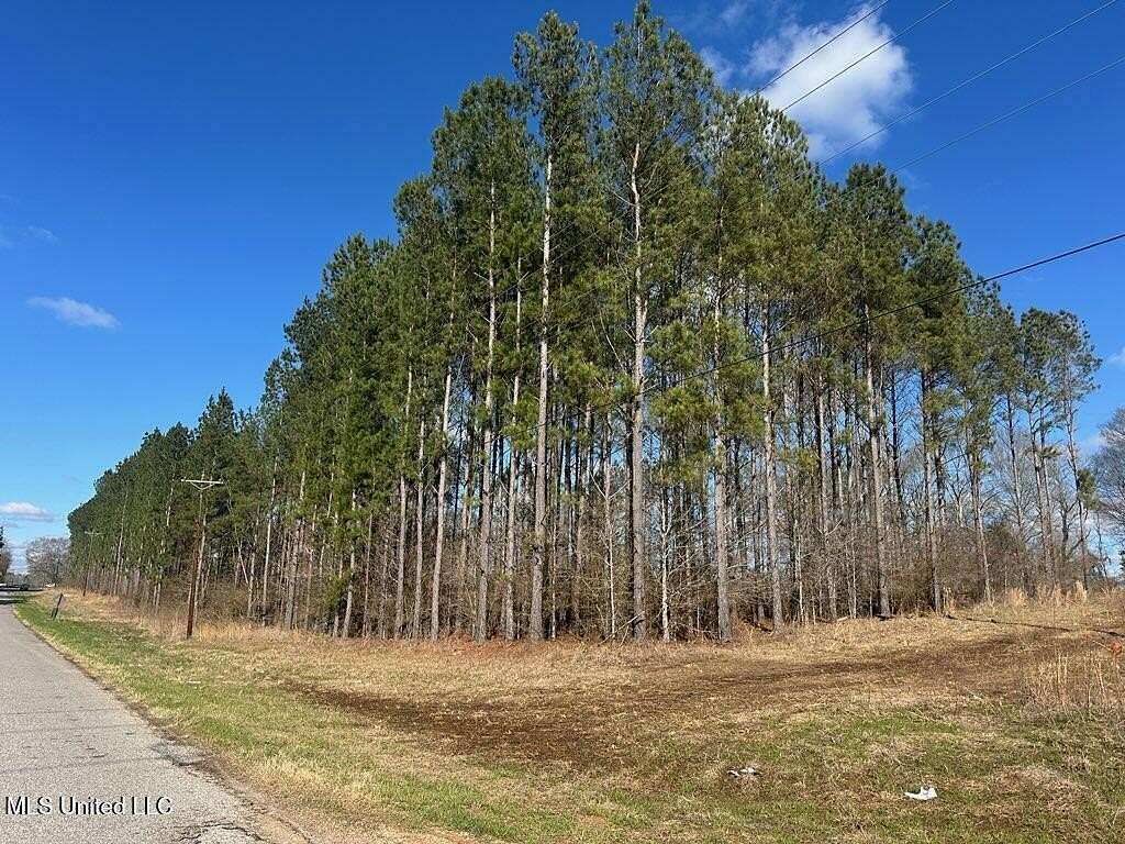 8.1 Acres of Residential Land for Sale in Bay Springs, Mississippi