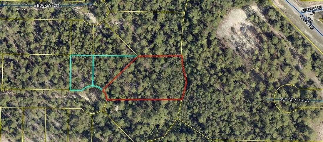 0.49 Acres of Residential Land for Sale in Mossy Head, Florida - LandSearch