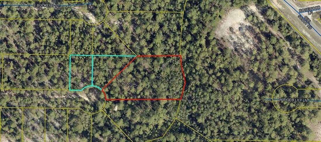 0.49 Acres of Residential Land for Sale in Mossy Head, Florida