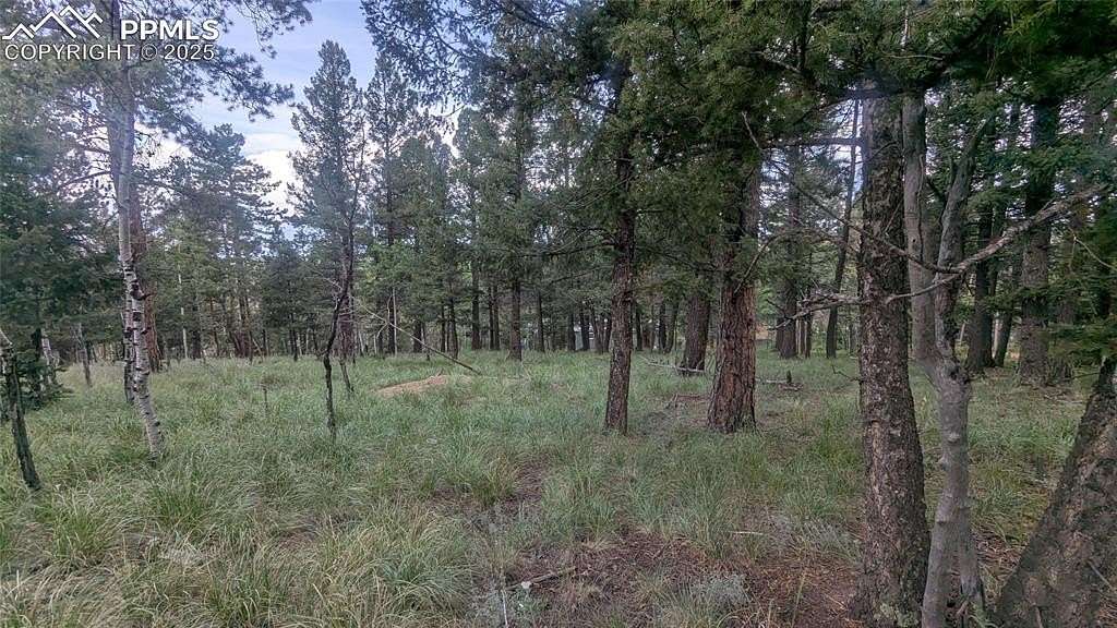 0.21 Acres of Land for Sale in Divide, Colorado