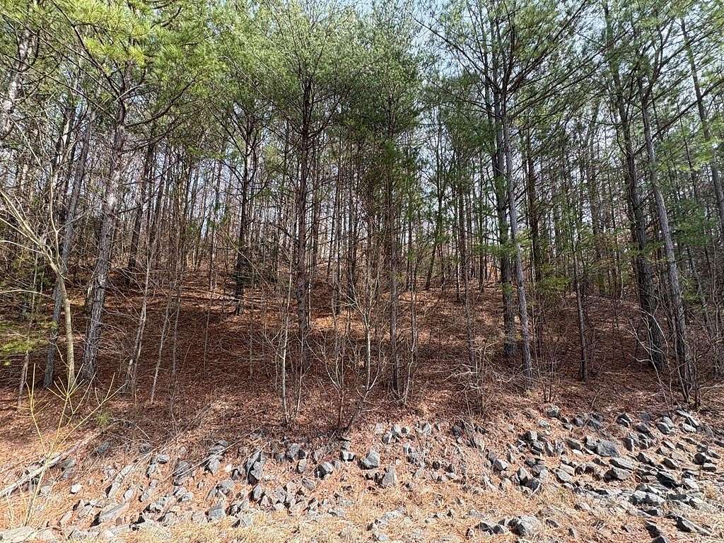 3.39 Acres of Residential Land for Sale in Cohutta, Georgia