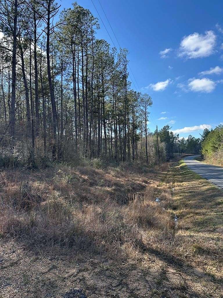 14.2 Acres of Land for Sale in Poplarville, Mississippi