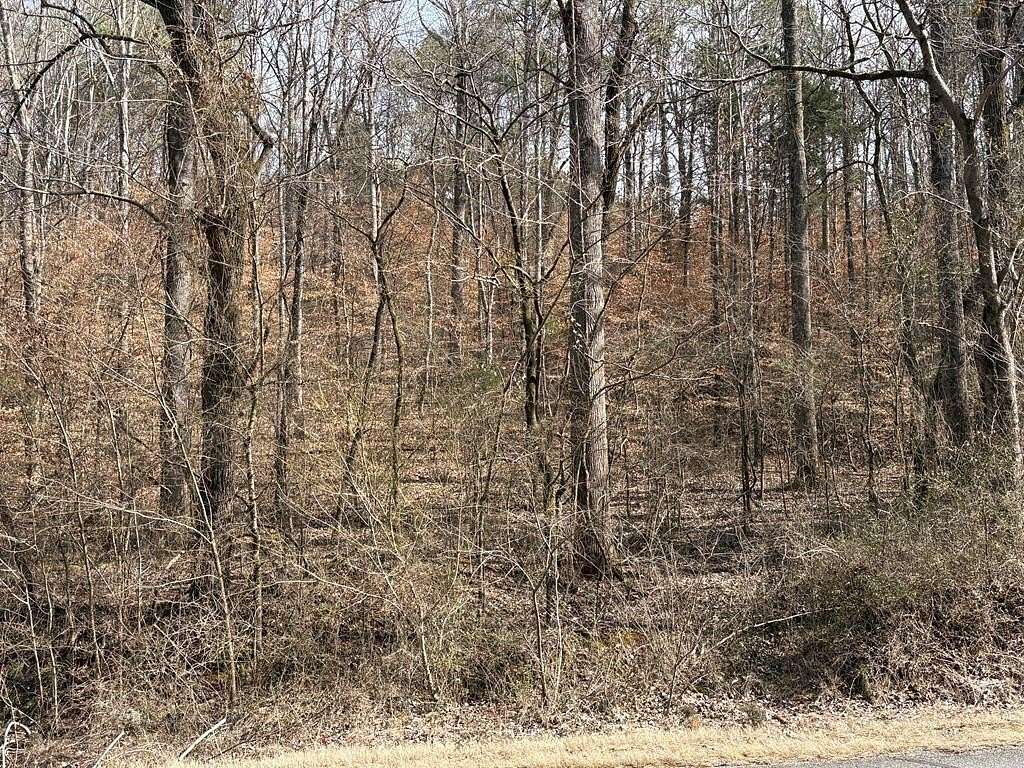 3.39 Acres of Residential Land for Sale in Cohutta, Georgia