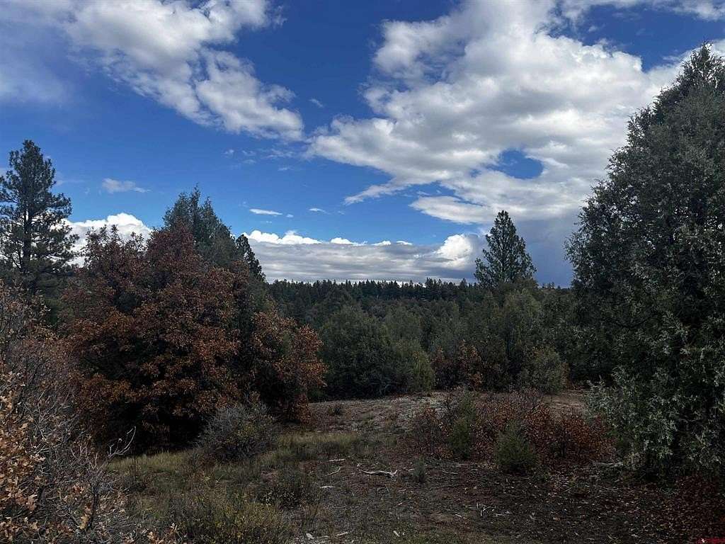 5 Acres of Residential Land for Sale in Pagosa Springs, Colorado