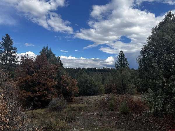 5 Acres of Residential Land for Sale in Pagosa Springs, Colorado