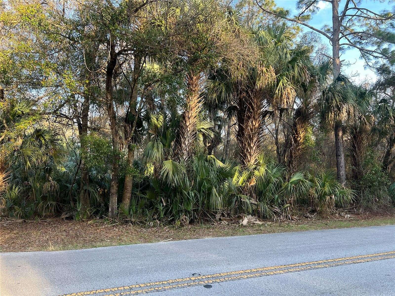 1.16 Acres of Residential Land for Sale in Crystal River, Florida