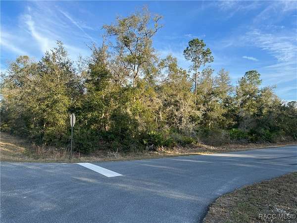 1.25 Acres of Residential Land for Sale in Crystal River, Florida