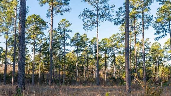 40.1 Acres of Land for Auction in Albany, Georgia