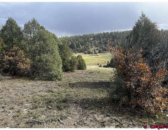 7 Acres of Residential Land for Sale in Pagosa Springs, Colorado