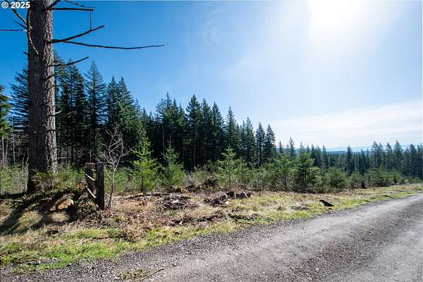 5 Acres of Residential Land for Sale in Camas, Washington