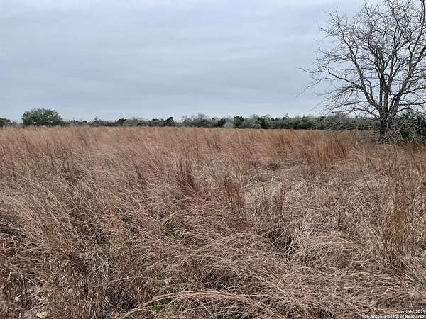 13.1 Acres of Land for Sale in Harwood, Texas