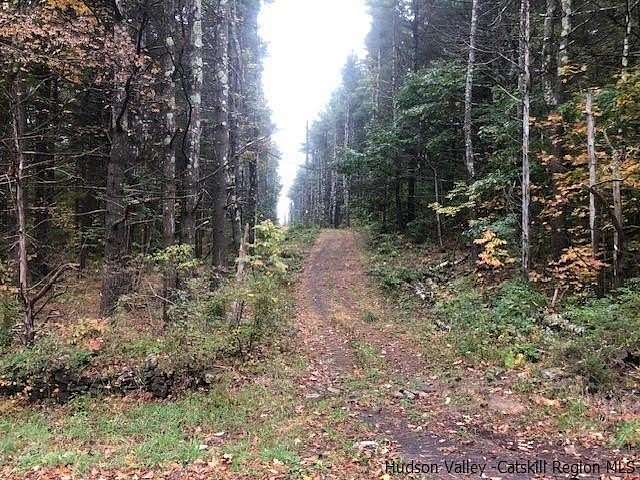 49.7 Acres of Land for Sale in New Baltimore, New York