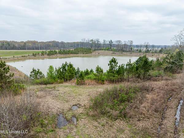 19.1 Acres of Recreational & Residential Land for Sale in Hernando, Mississippi