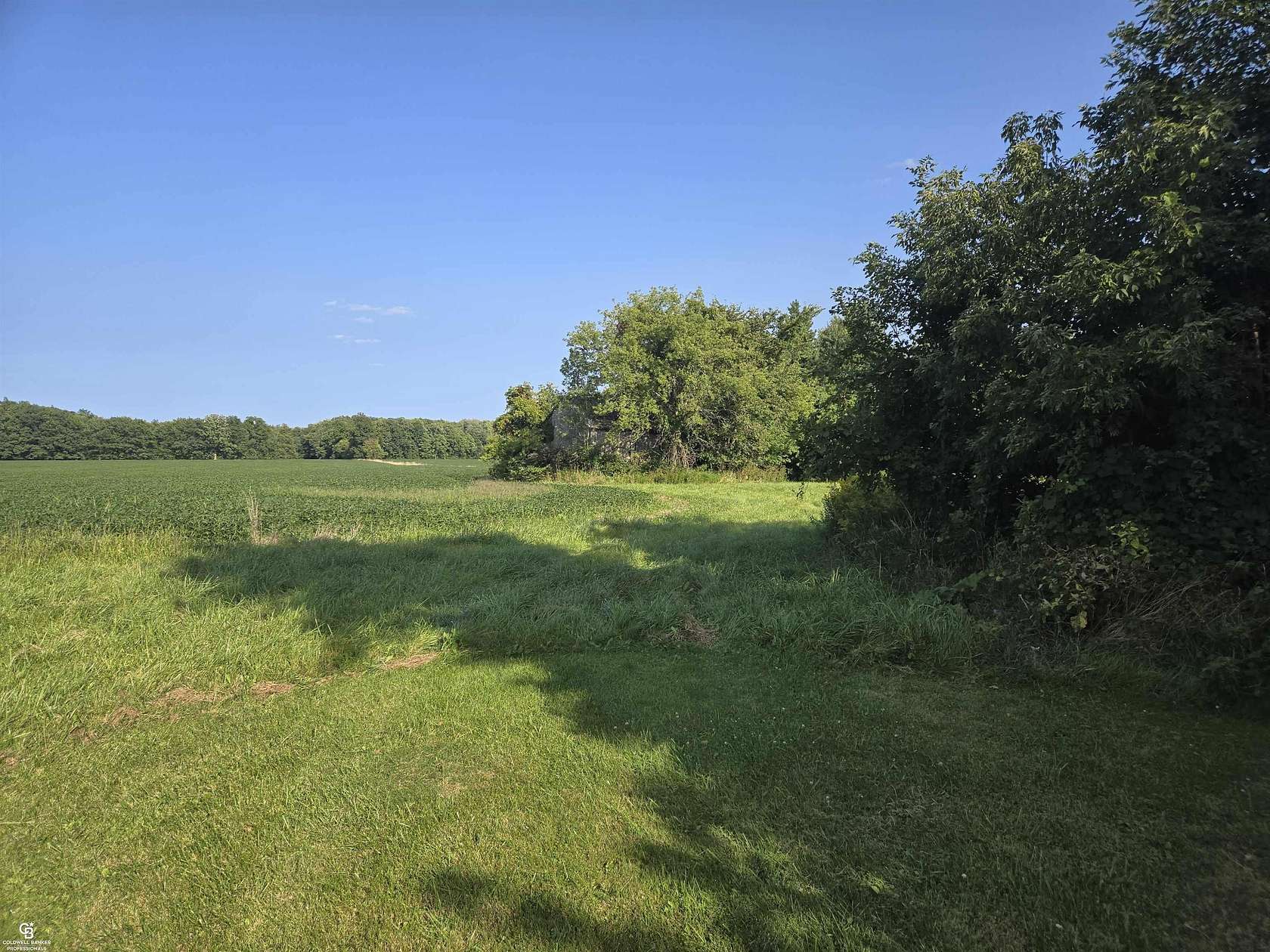 64.5 Acres of Land for Sale in Avoca, Michigan