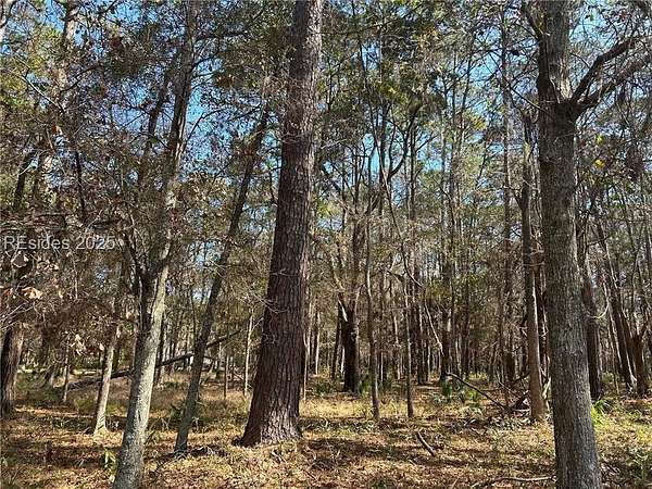0.5 Acres of Residential Land for Sale in Daufuskie Island, South Carolina