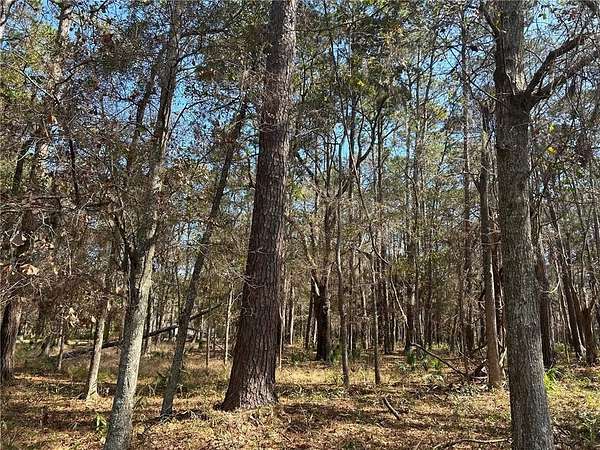 0.5 Acres of Residential Land for Sale in Daufuskie Island, South Carolina