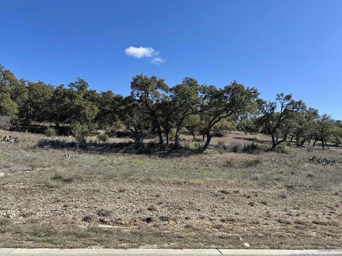 1 Acre of Residential Land for Sale in New Braunfels, Texas