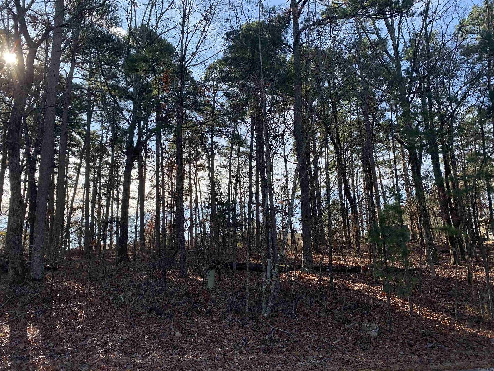 0.36 Acres of Residential Land for Sale in Hot Springs Village, Arkansas