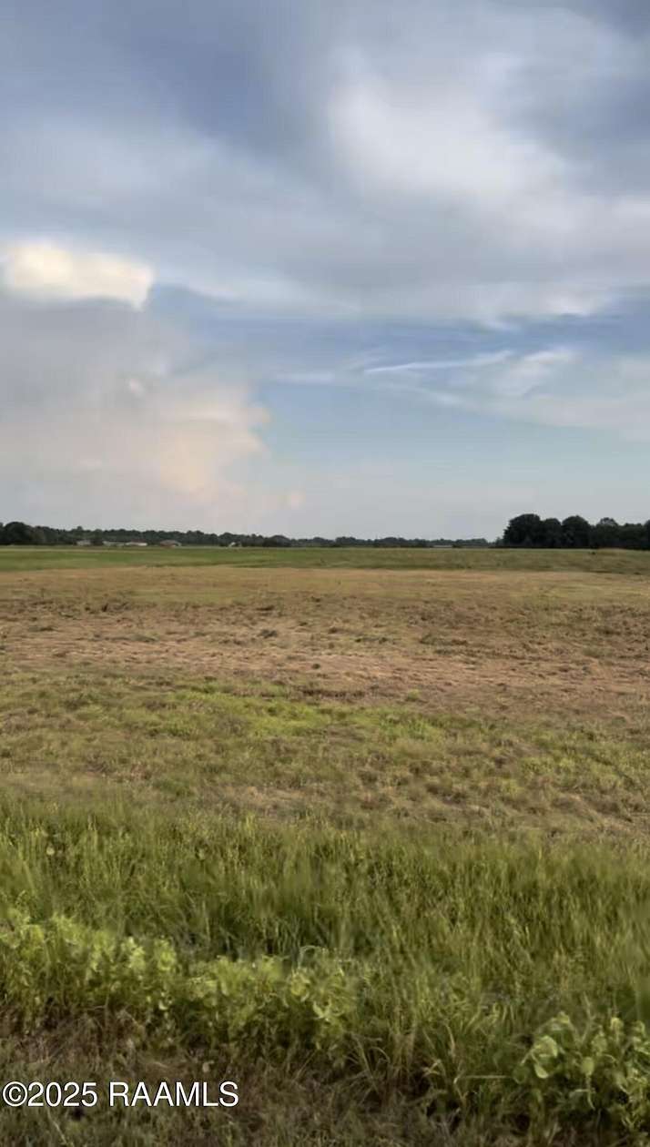 3 Acres of Land for Sale in Iota, Louisiana