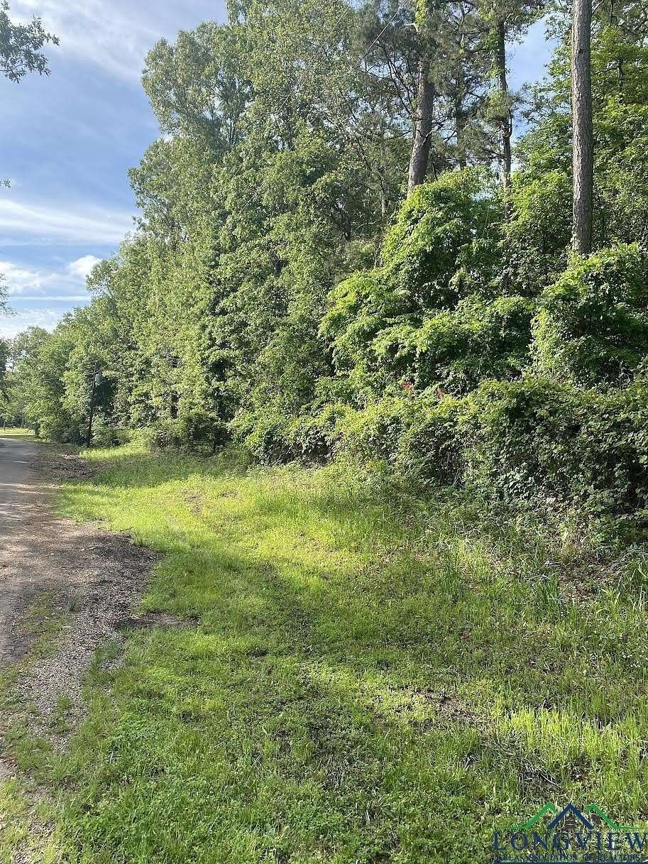 0.5 Acres of Land for Sale in Gilmer, Texas