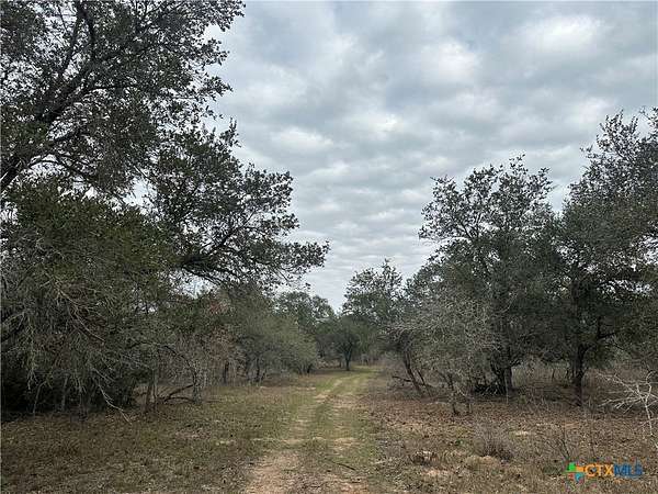 22.4 Acres of Recreational Land for Sale in Meyersville, Texas