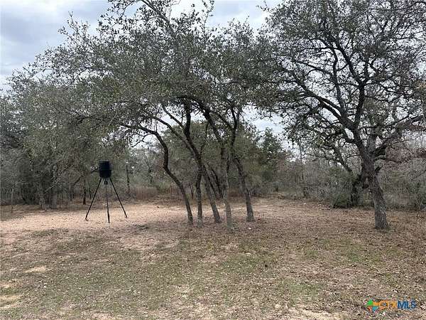 24.8 Acres of Recreational Land for Sale in Meyersville, Texas