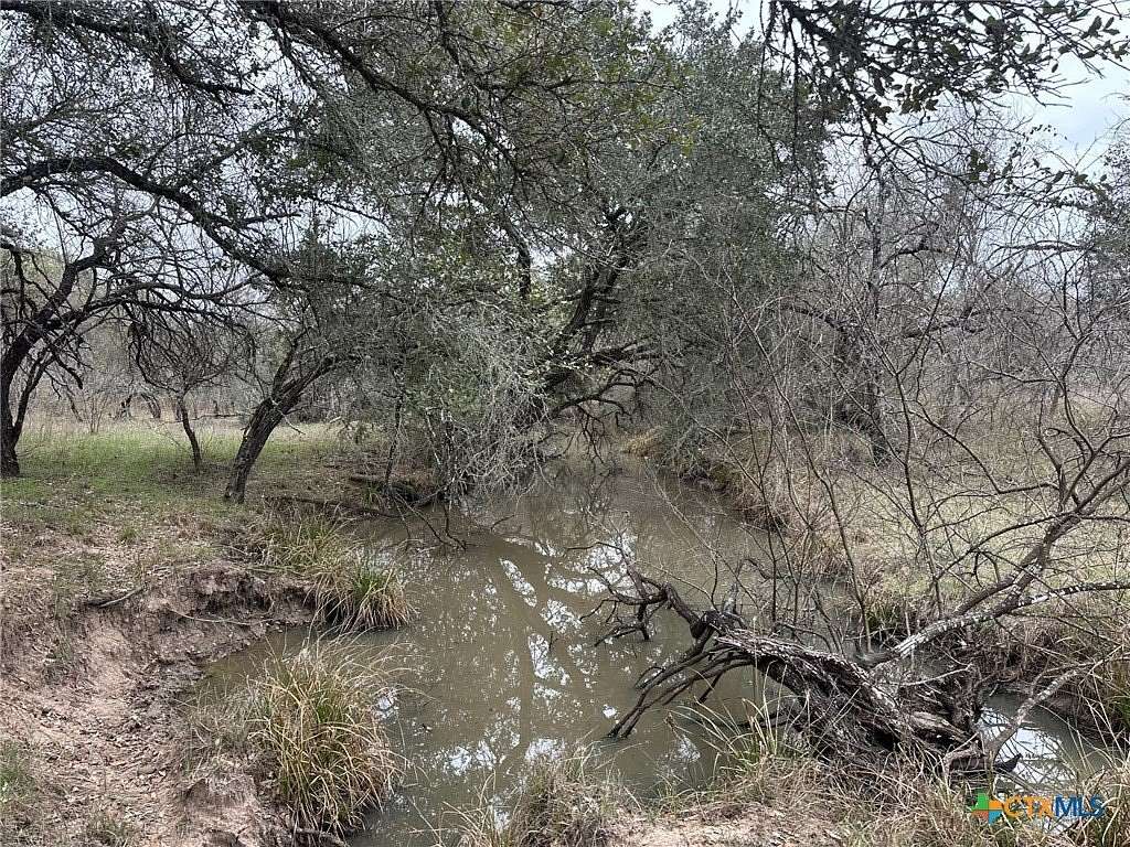23.2 Acres of Recreational Land for Sale in Meyersville, Texas