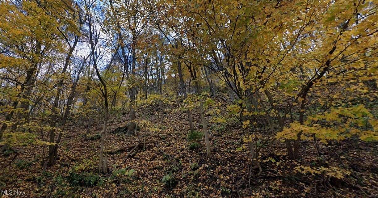 14 Acres of Land for Sale in Chester, West Virginia